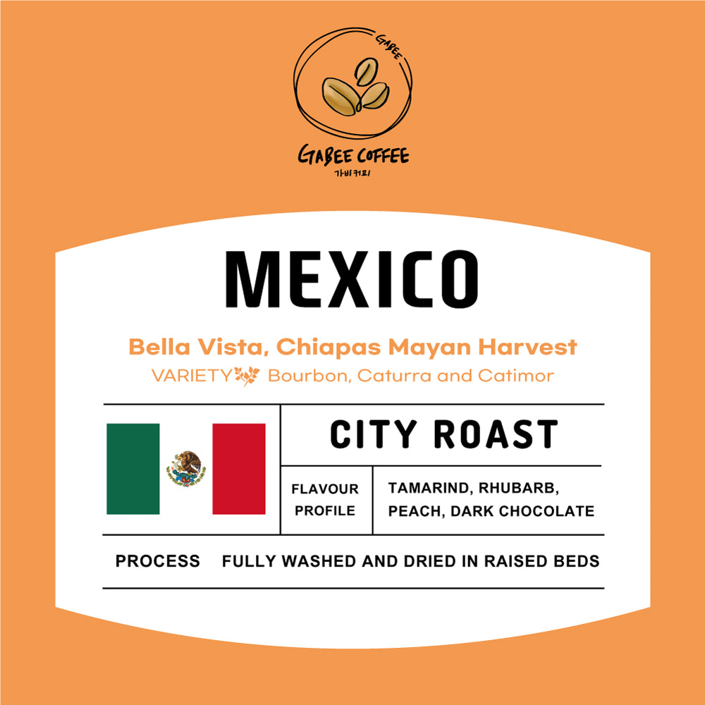 Mexico Chiapas Mayan Harvest