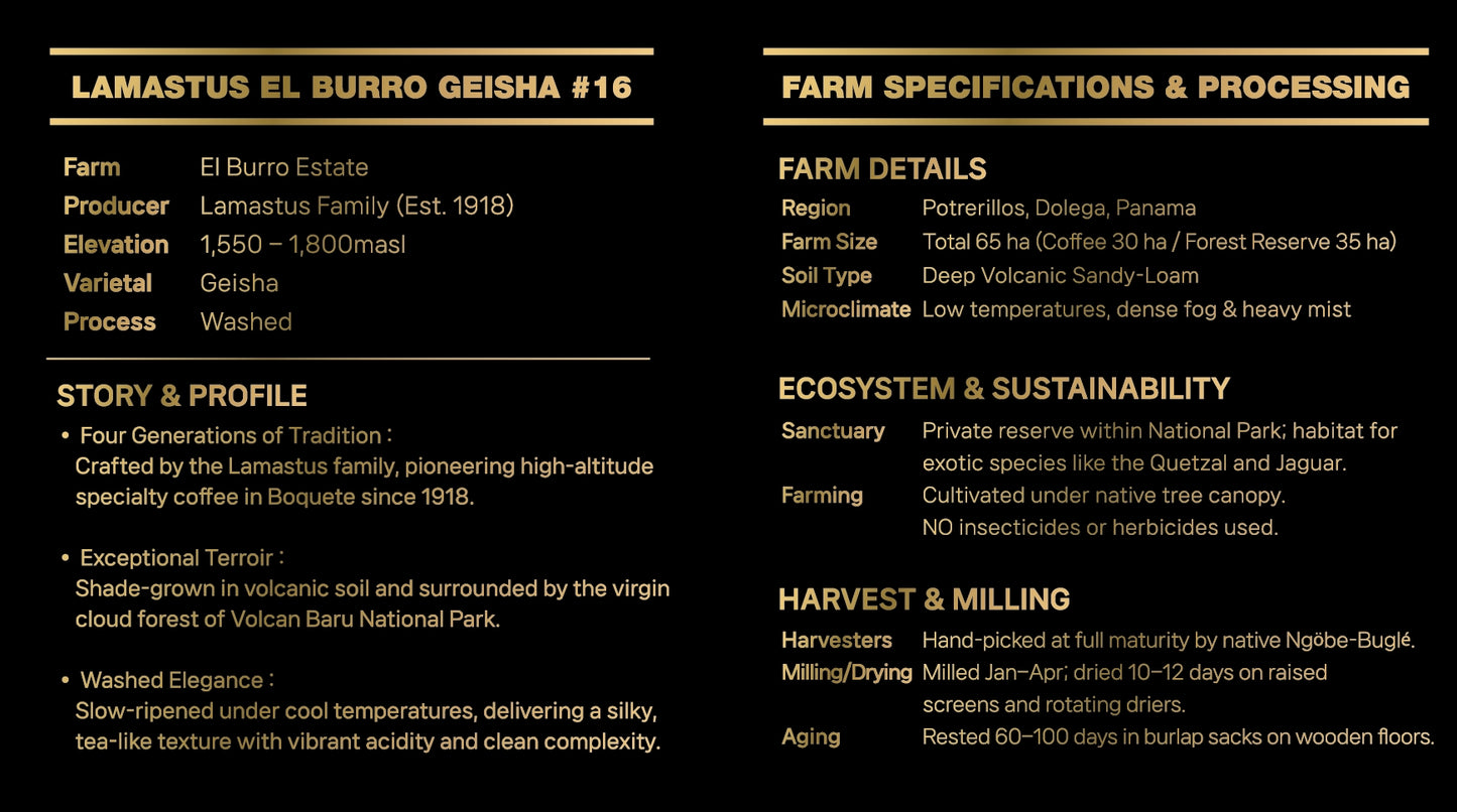2026 Lamastus Family Estates – El Burro Geisha #16 Washed Panama