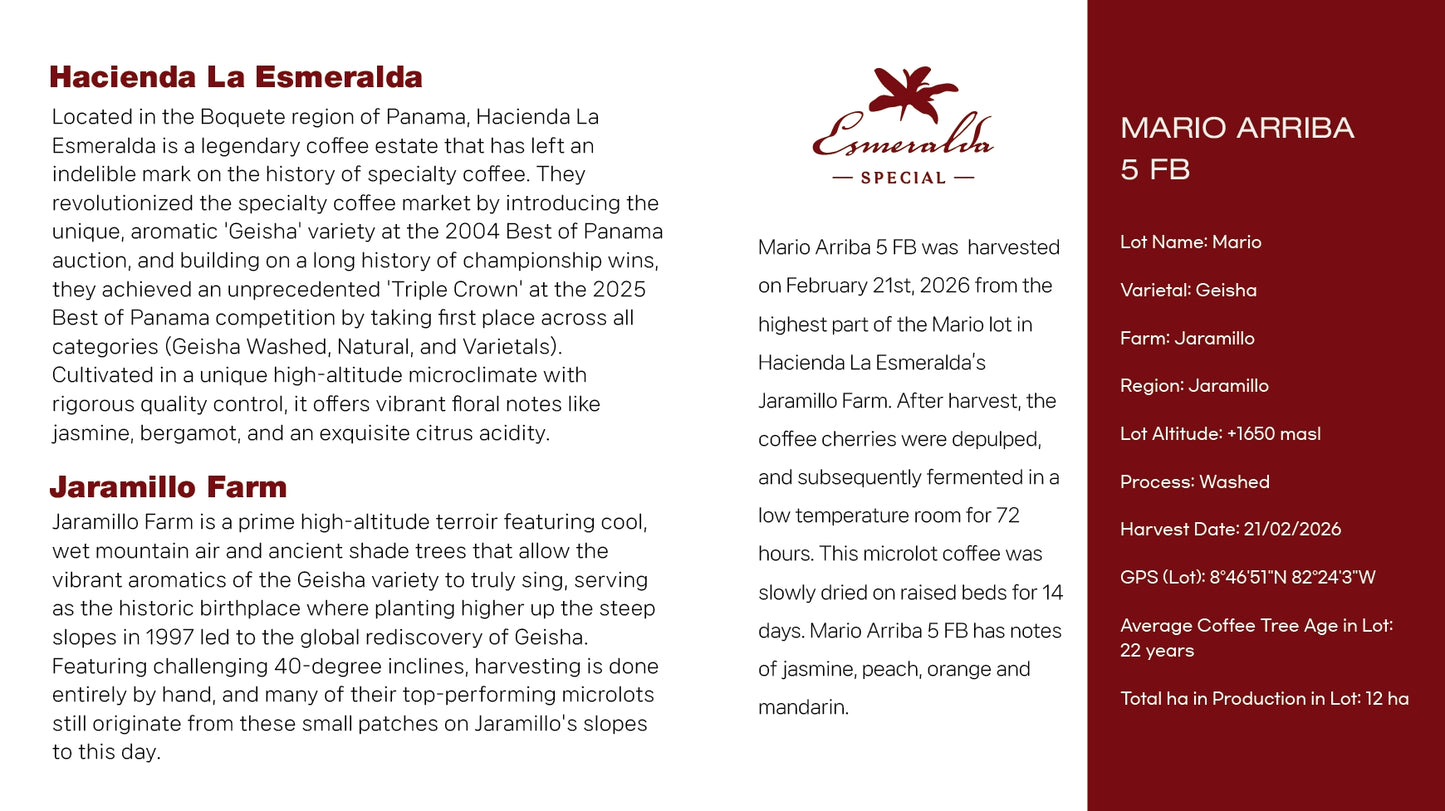 2026 Hacienda La Esmeralda – Mario Arriba 5 FB Washed Panama Geisha