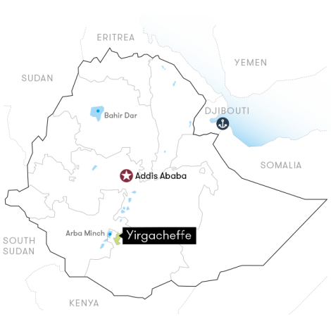 Ethiopia Yirgacheffe Grade 1 Chelbesa