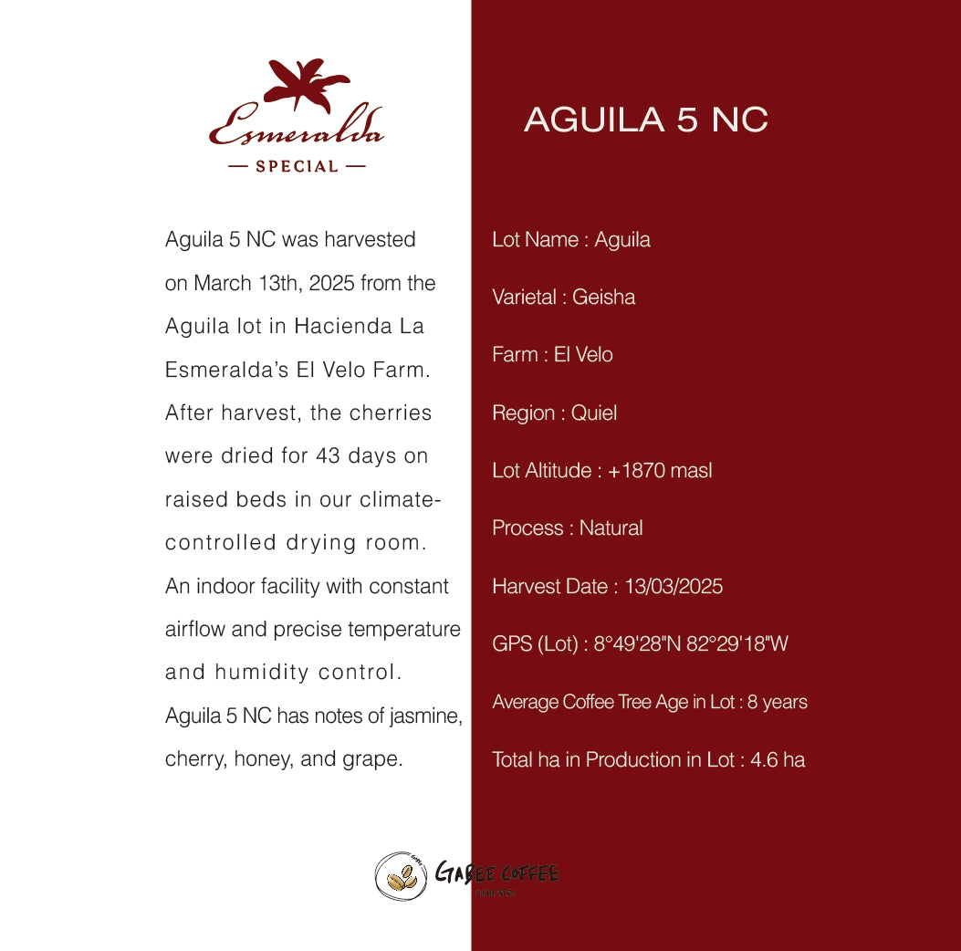 2025 Panama Geisha Special (NATURAL)