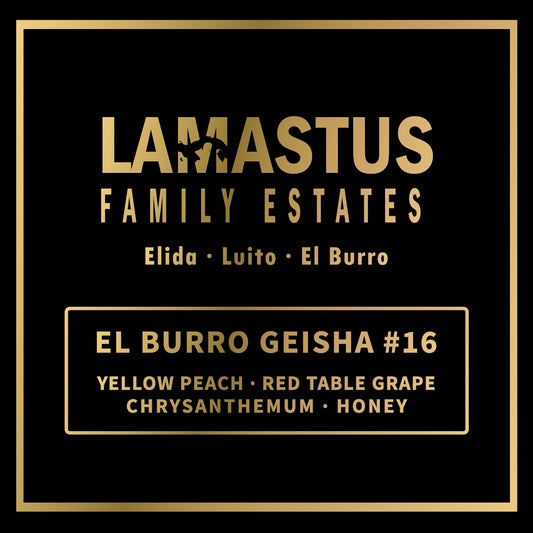 2026 Lamastus Family Estates – El Burro Geisha #16 Washed Panama