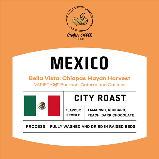 Mexico Chiapas Mayan Harvest