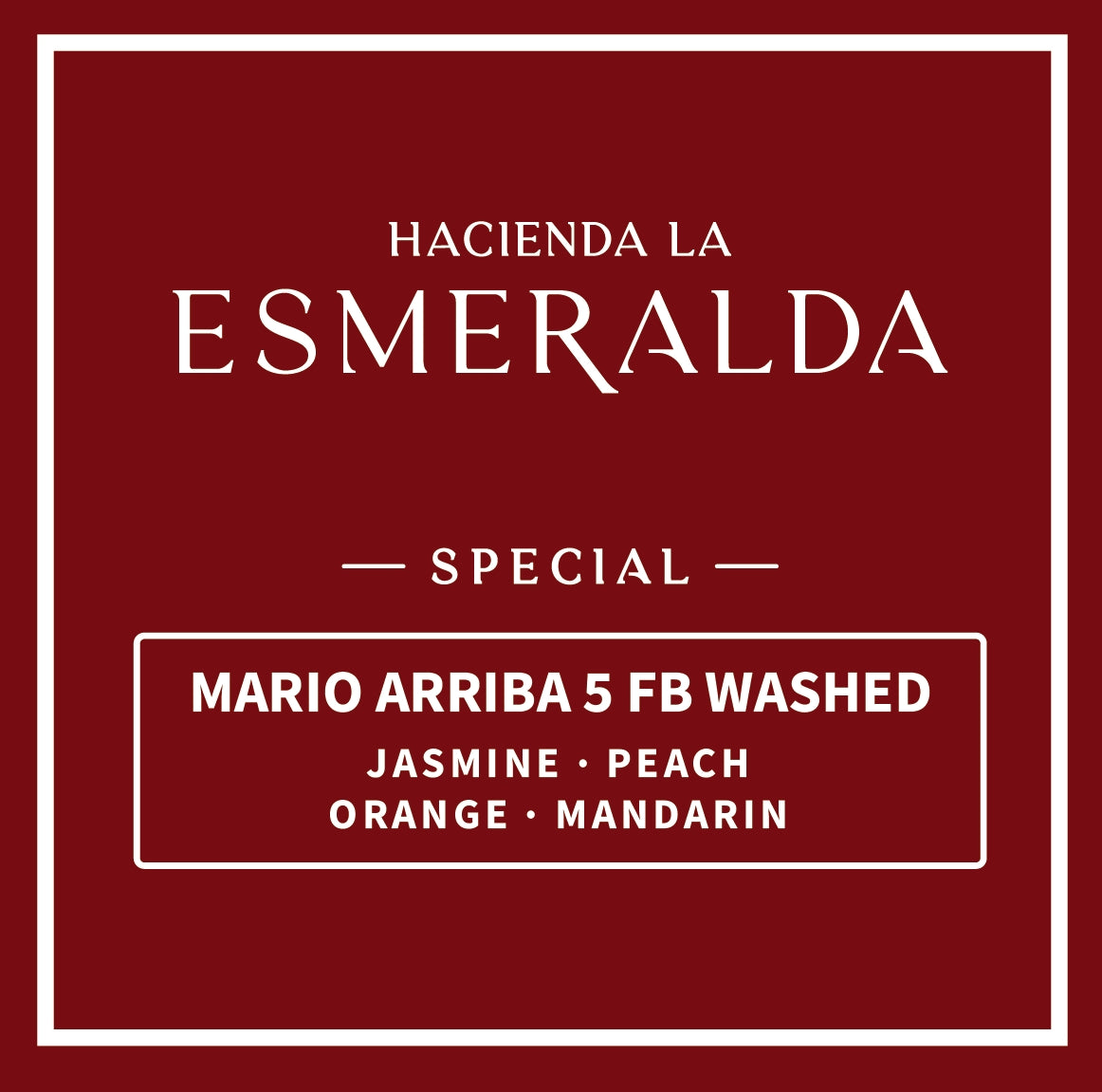 2026 Hacienda La Esmeralda – Mario Arriba 5 FB Washed Panama Geisha