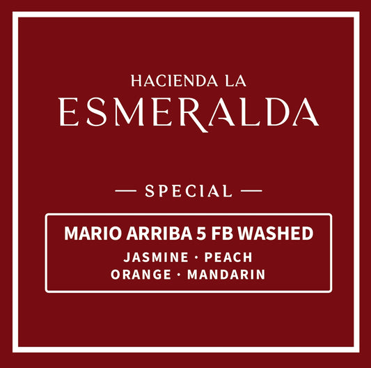 2026 Hacienda La Esmeralda – Mario Arriba 5 FB Washed Panama Geisha