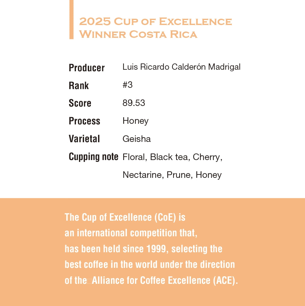 2025 Costa Ricsa Cup Of Excellence # 3