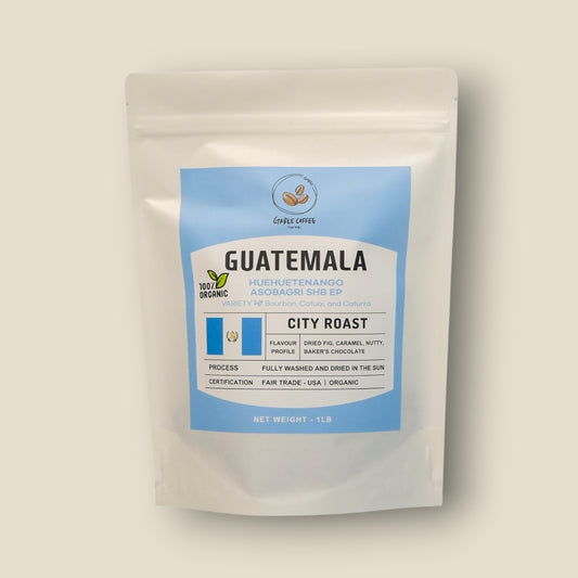 GUATEMALA FT-USA ORGANIC HUEHUETENANGO ASOBAGRI SHB EP