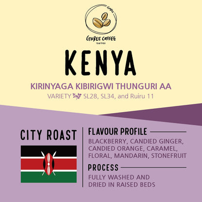 Kenya Kirinyaga Kibirigwi Thunguri AA -11KN0005