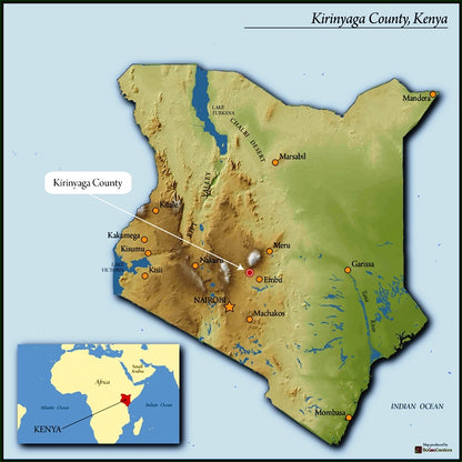 Kenya Kirinyaga Kibirigwi Thunguri AA -11KN0005